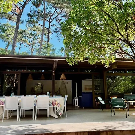 Villa Familiale A Piraillan - Confort Nature A Deux Pas Du Bassin Et De L'ocean